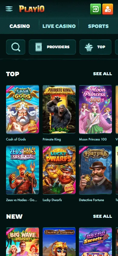 Playio Casino mobile games interface